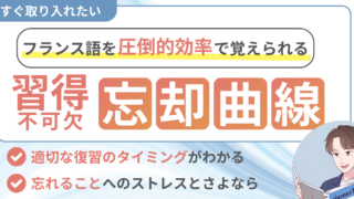 エビングハウスの忘却曲線でフランス語学習を効率化！